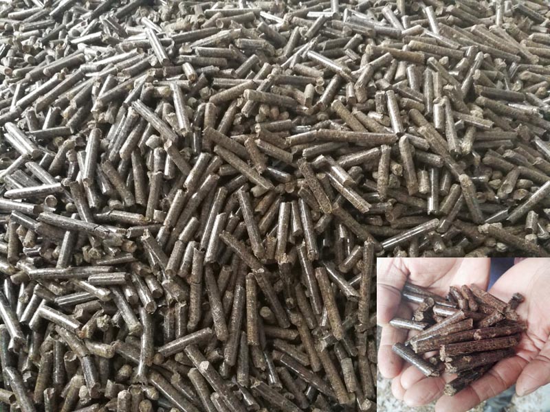 palm EFB pellet